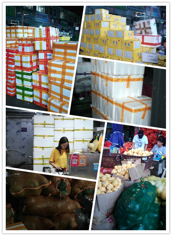 万利官网-相信品牌力量