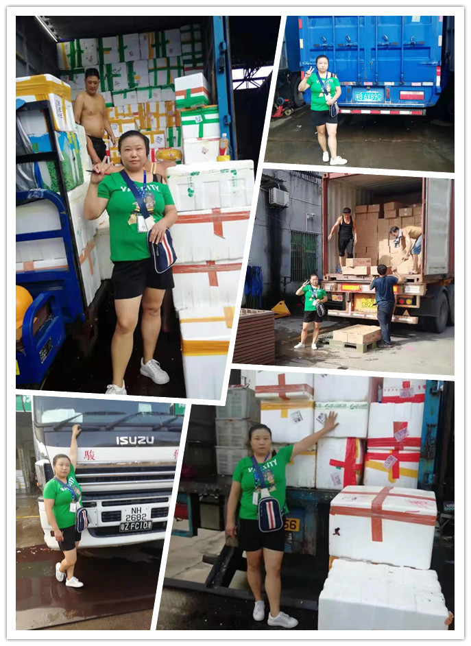 万利官网-相信品牌力量