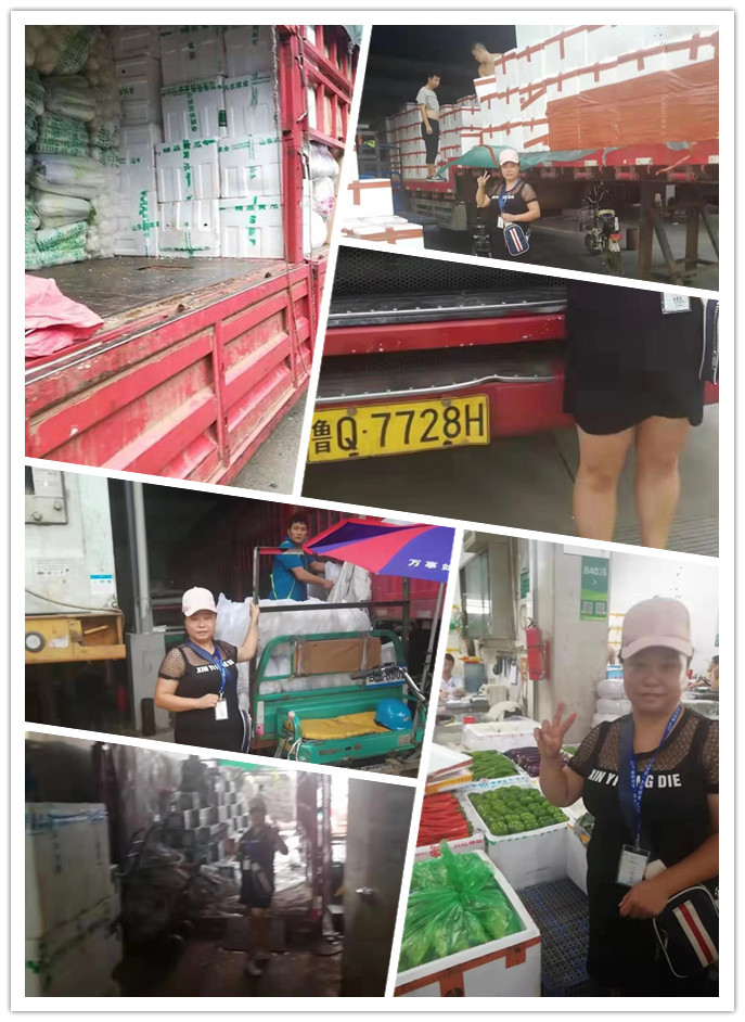 万利官网-相信品牌力量