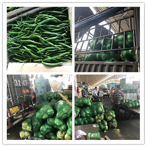 万利官网-相信品牌力量