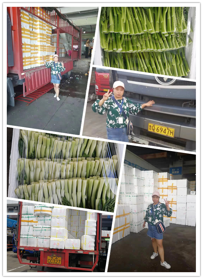 万利官网-相信品牌力量