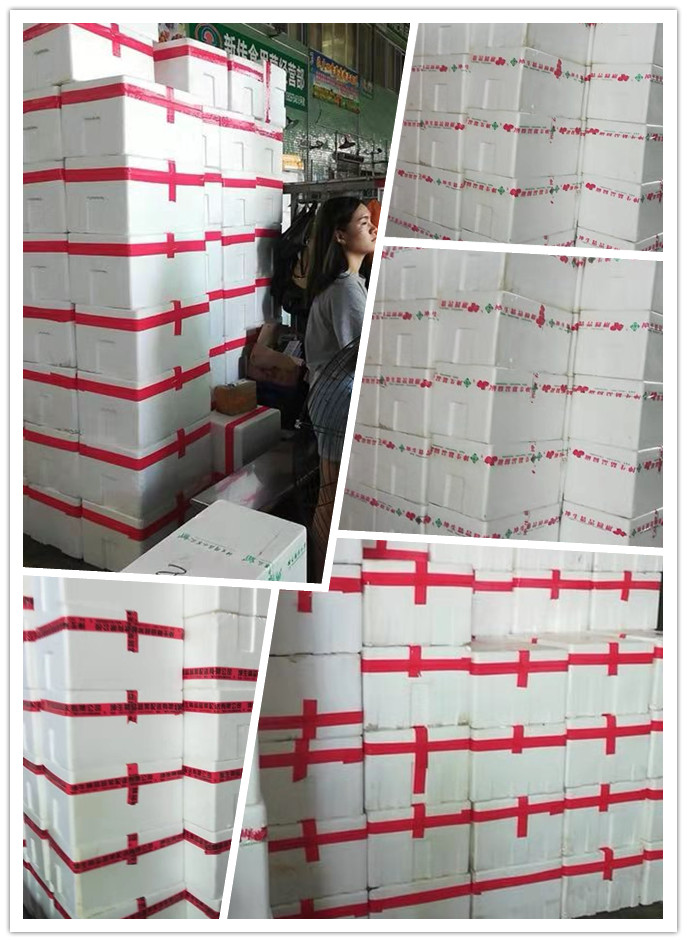 万利官网-相信品牌力量