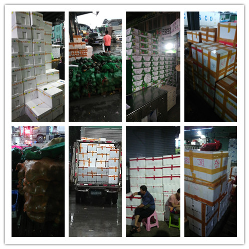 万利官网-相信品牌力量