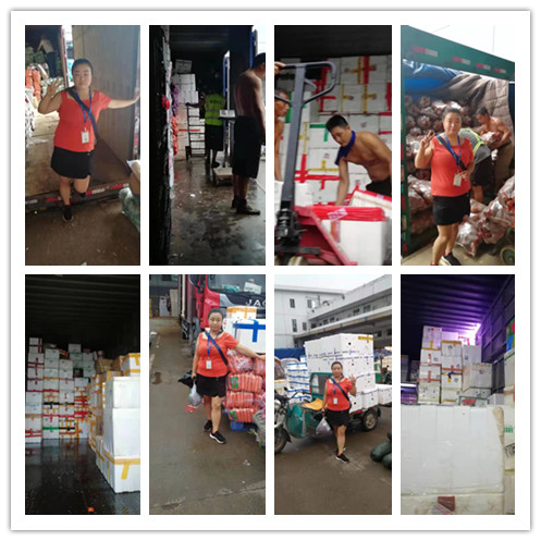 万利官网-相信品牌力量