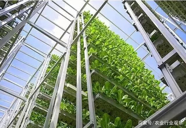 万利官网-相信品牌力量