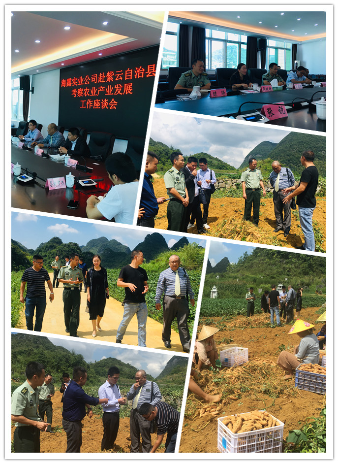 万利官网-相信品牌力量