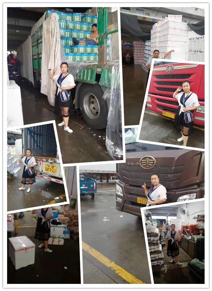 万利官网-相信品牌力量