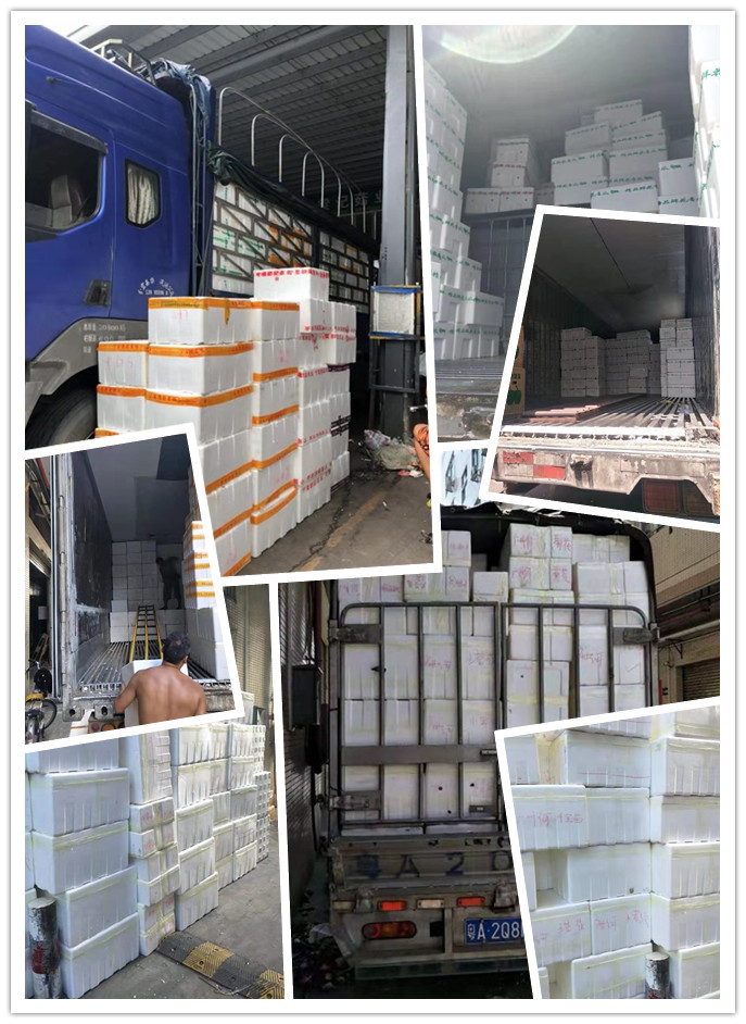 万利官网-相信品牌力量