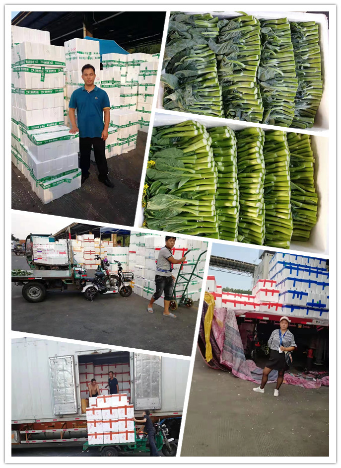 万利官网-相信品牌力量