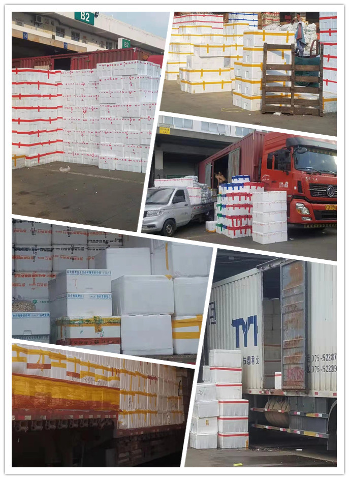 万利官网-相信品牌力量