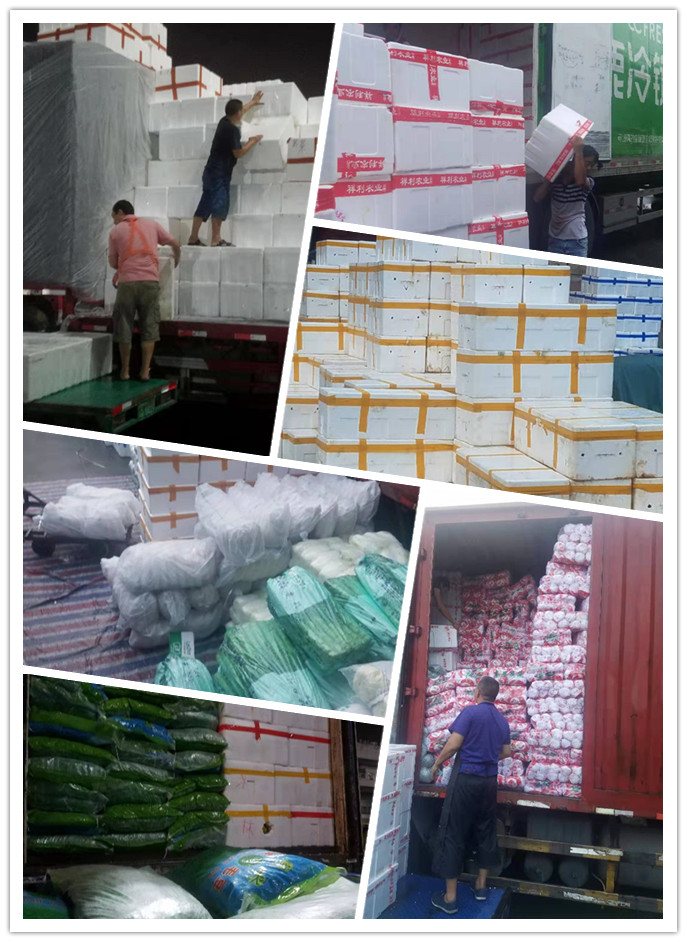 万利官网-相信品牌力量