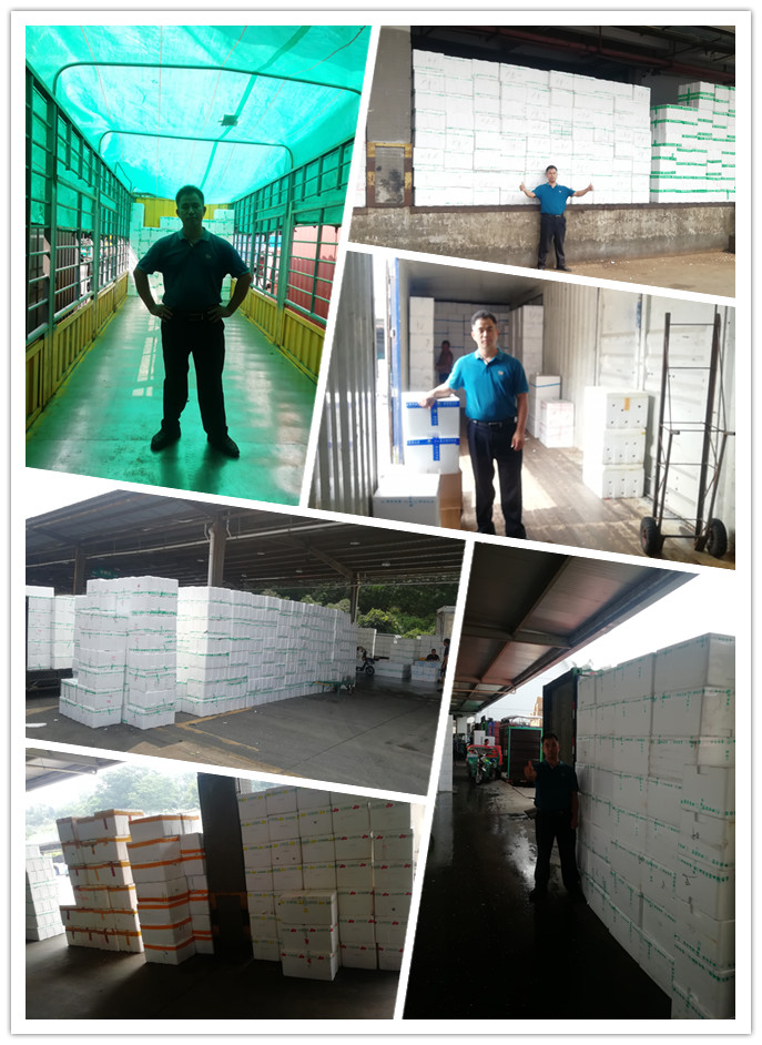 万利官网-相信品牌力量