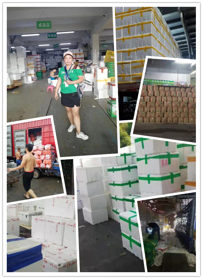 万利官网-相信品牌力量