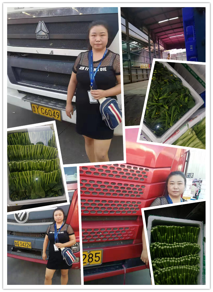 万利官网-相信品牌力量