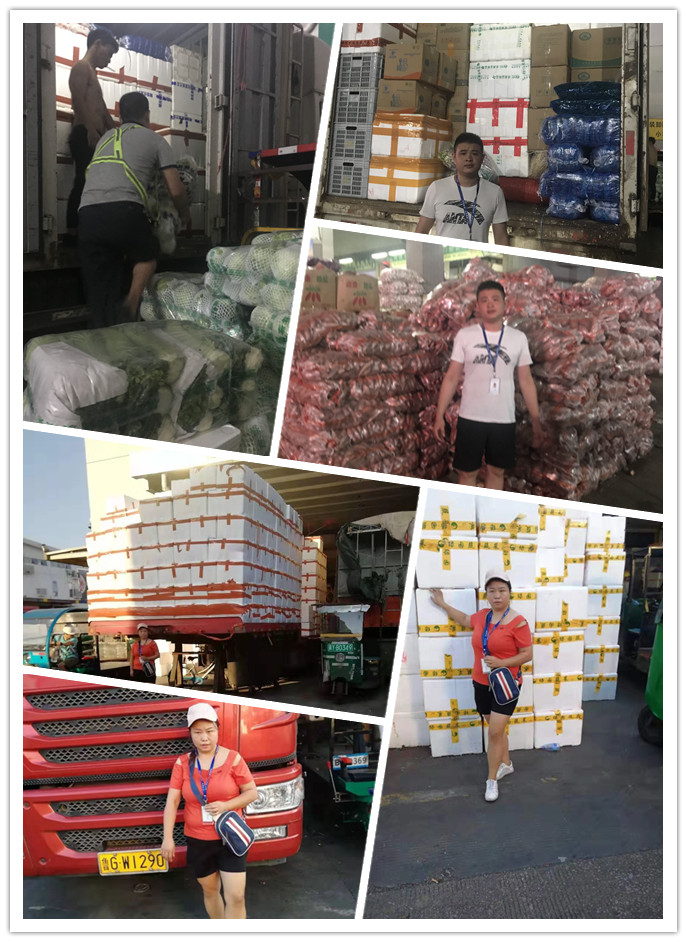 万利官网-相信品牌力量