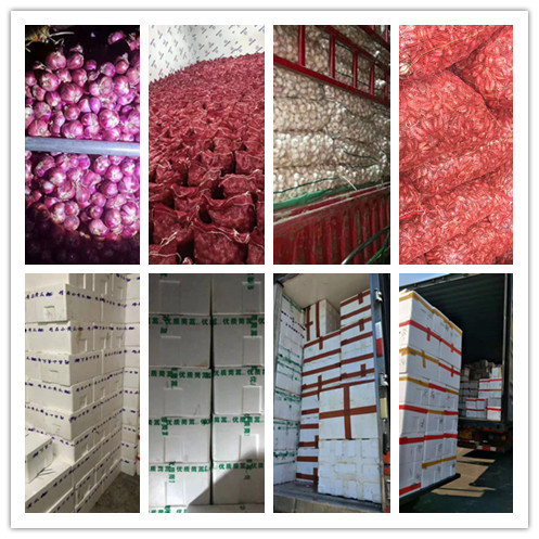 万利官网-相信品牌力量