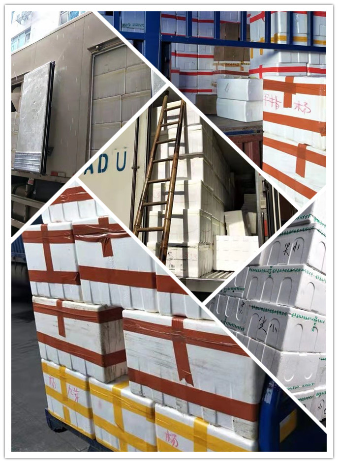 万利官网-相信品牌力量