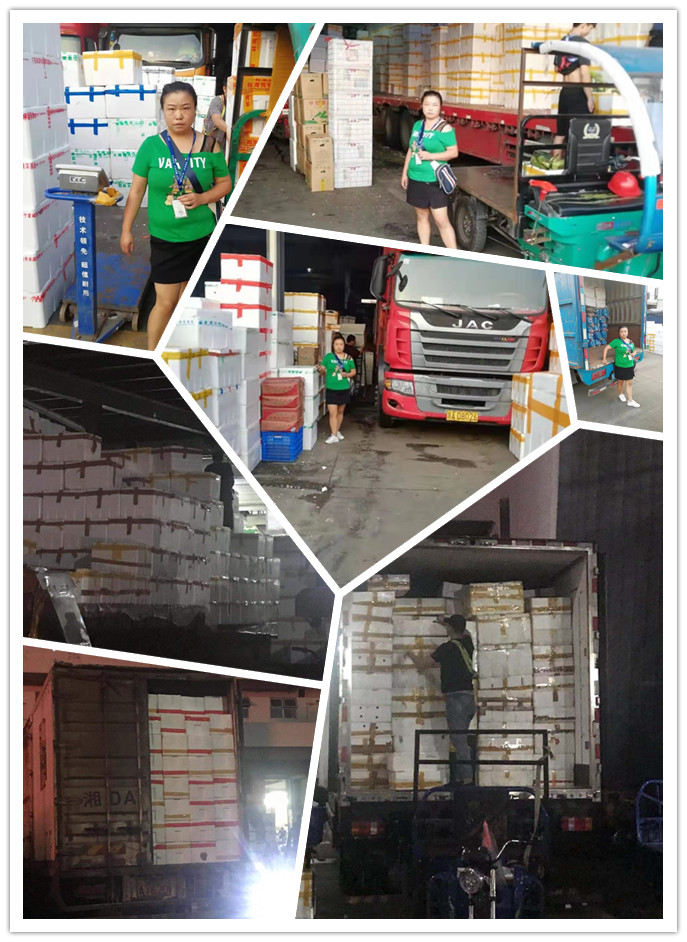 万利官网-相信品牌力量