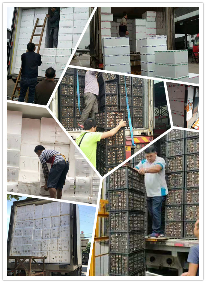 万利官网-相信品牌力量