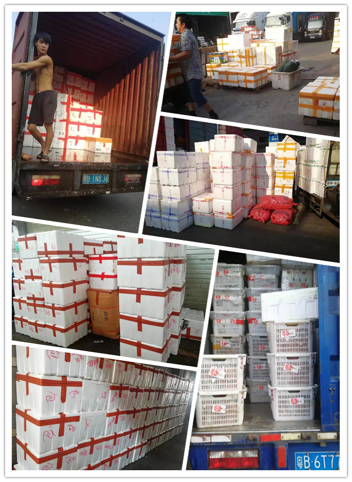 万利官网-相信品牌力量