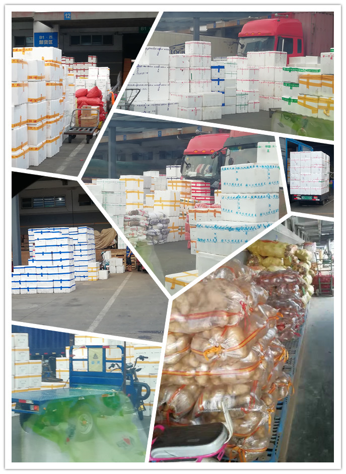 万利官网-相信品牌力量