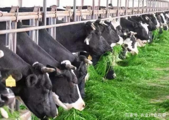 万利官网-相信品牌力量