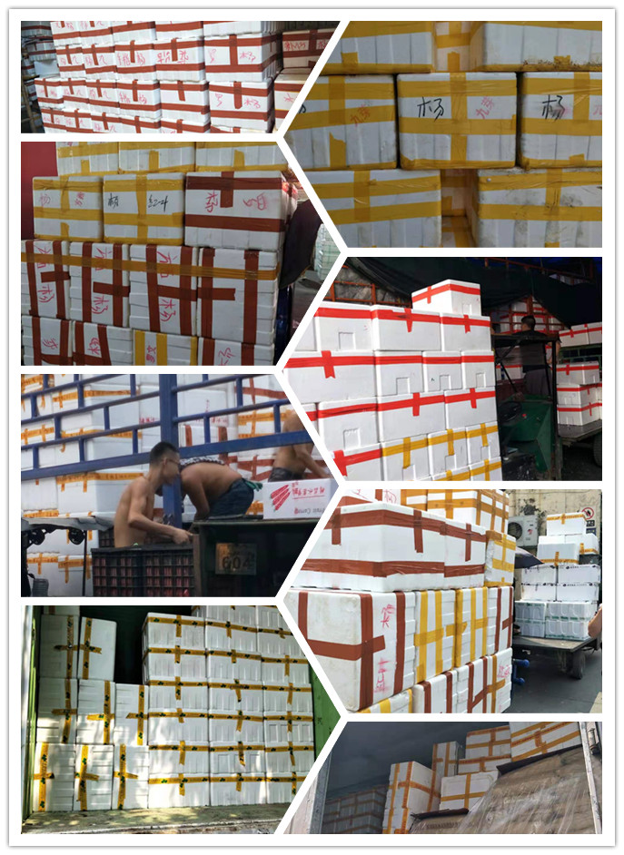 万利官网-相信品牌力量