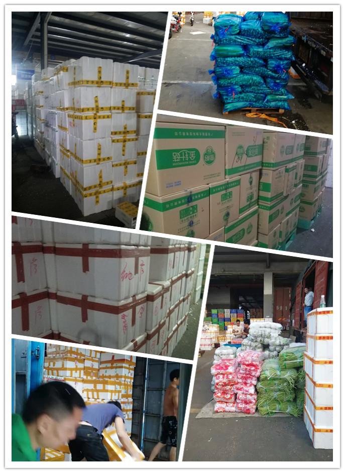 万利官网-相信品牌力量