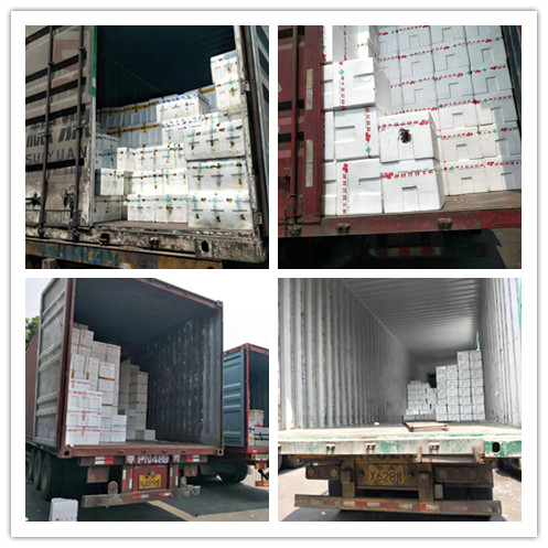 万利官网-相信品牌力量