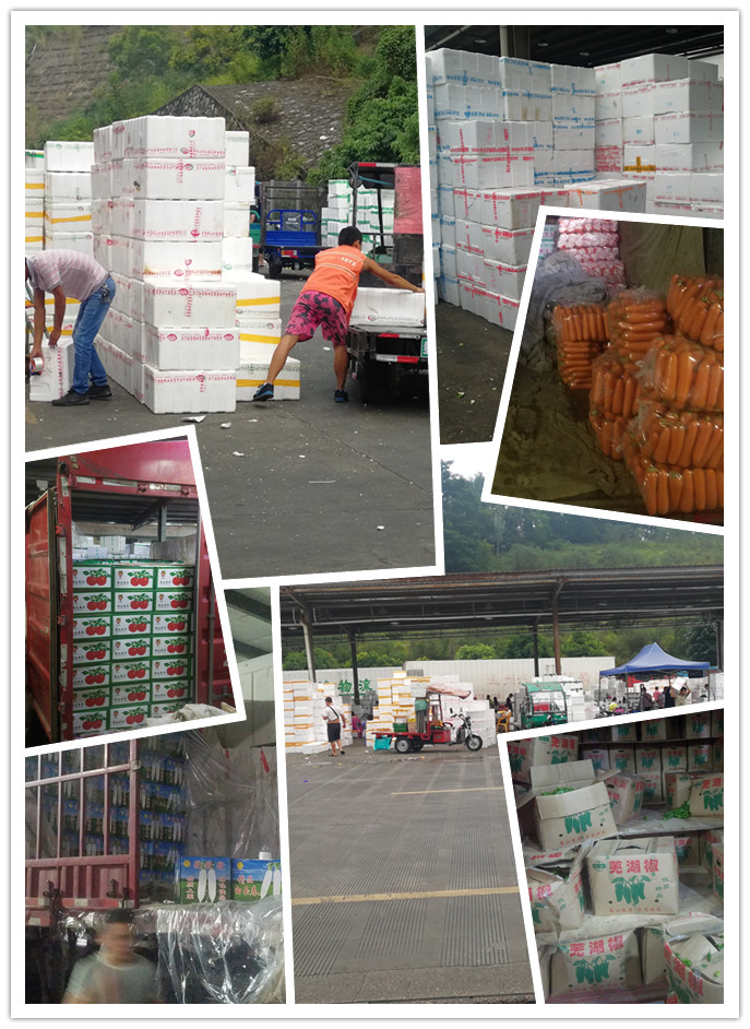 万利官网-相信品牌力量