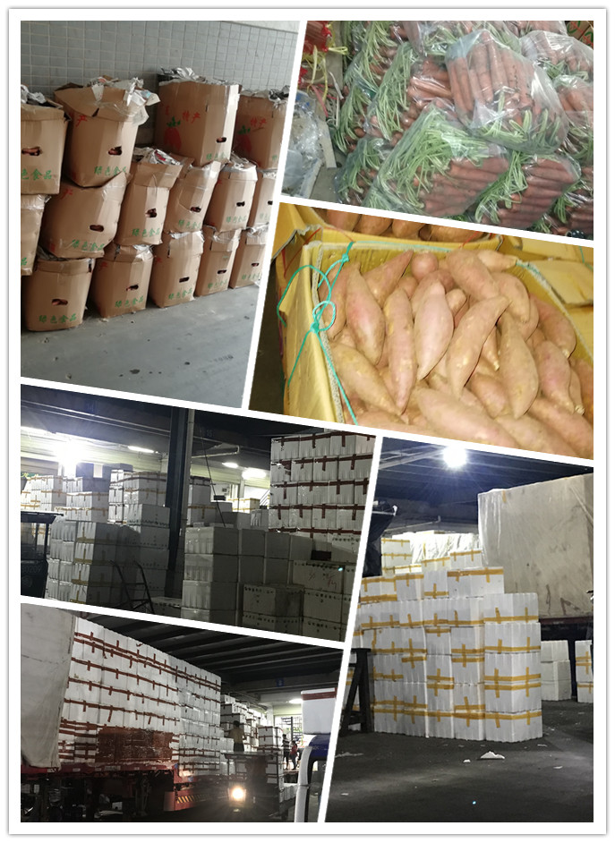 万利官网-相信品牌力量