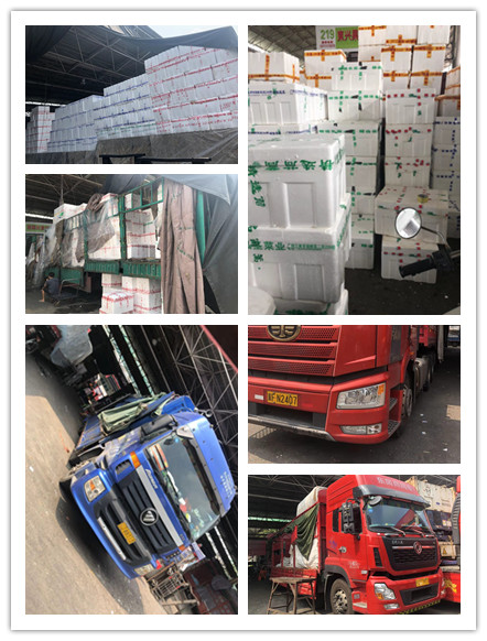 万利官网-相信品牌力量