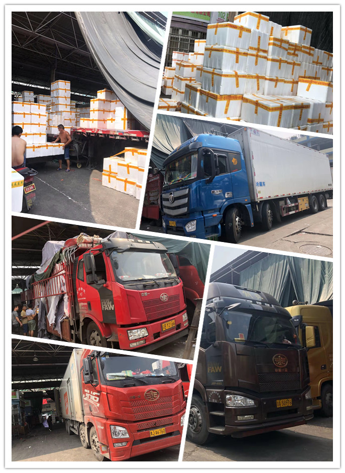 万利官网-相信品牌力量