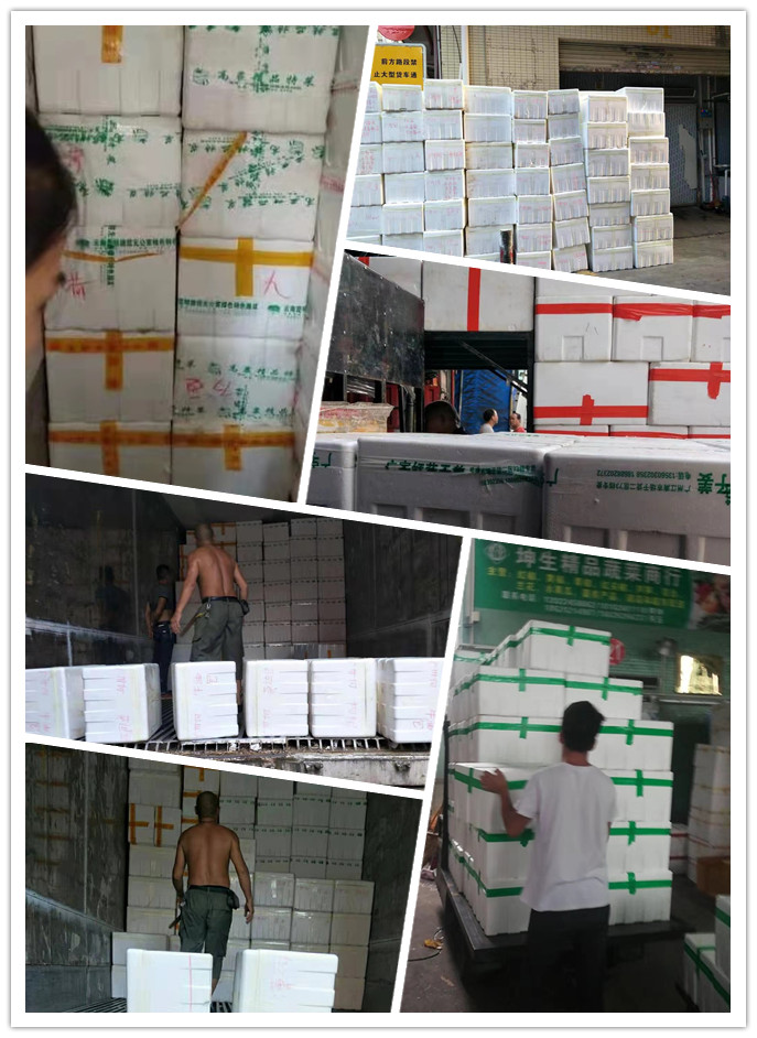 万利官网-相信品牌力量