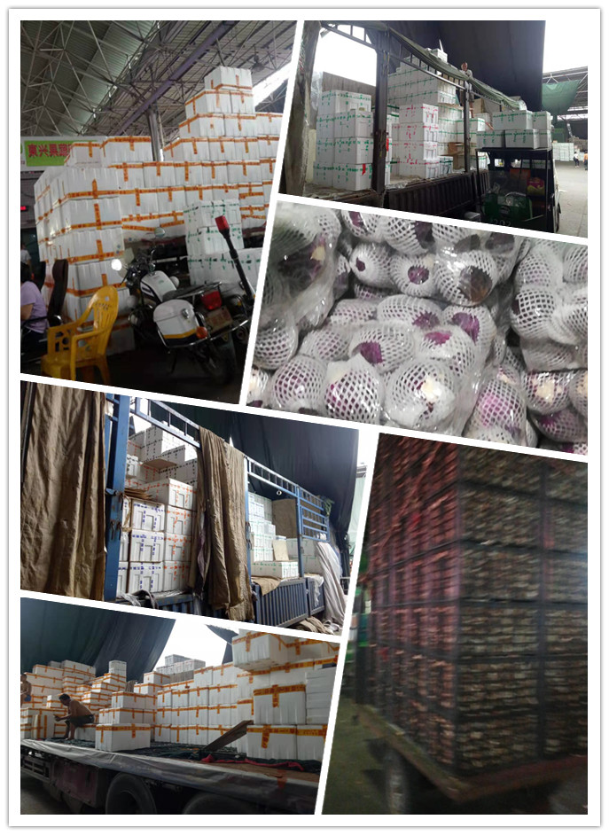 万利官网-相信品牌力量