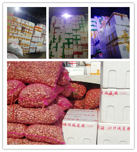 万利官网-相信品牌力量