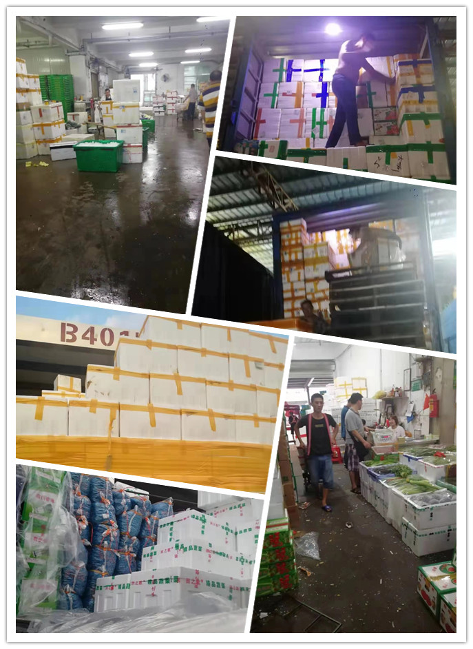 万利官网-相信品牌力量