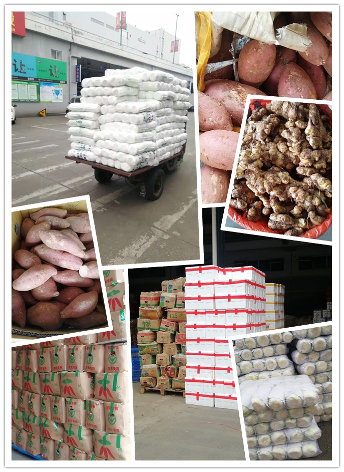 万利官网-相信品牌力量