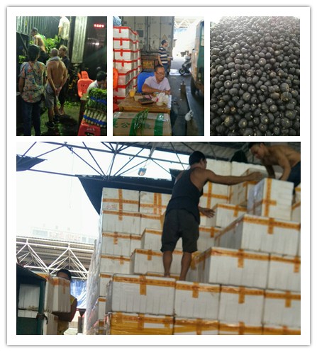 万利官网-相信品牌力量