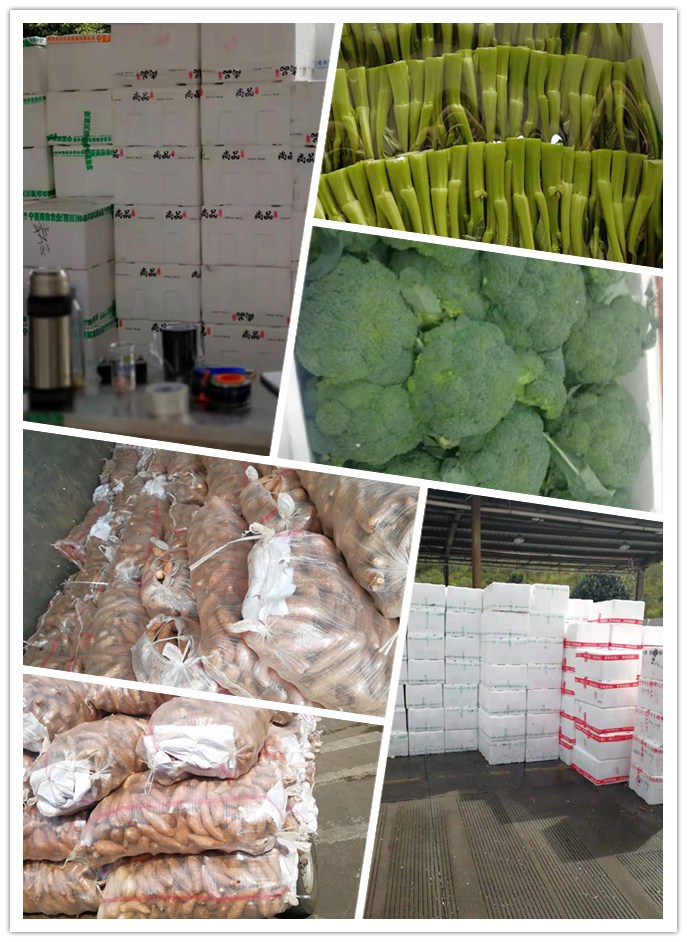 万利官网-相信品牌力量