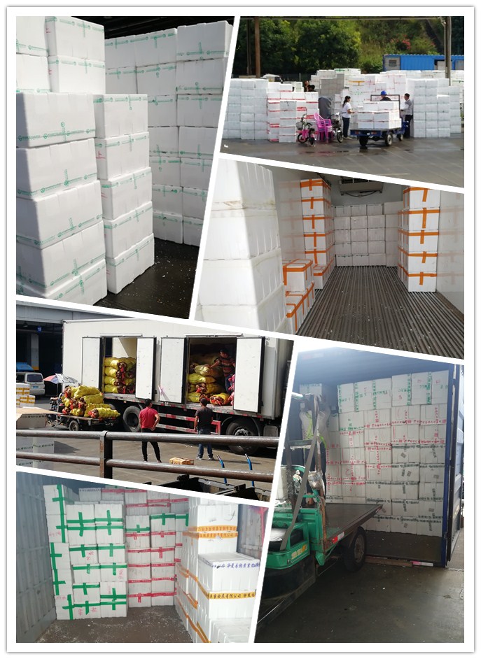 万利官网-相信品牌力量