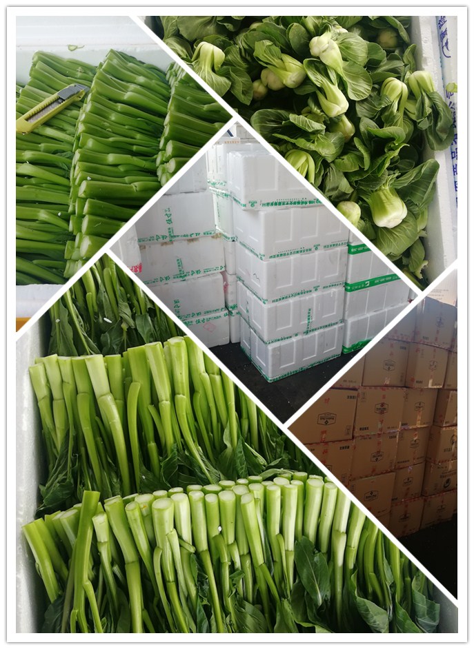 万利官网-相信品牌力量