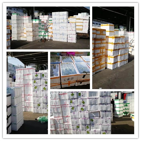 万利官网-相信品牌力量