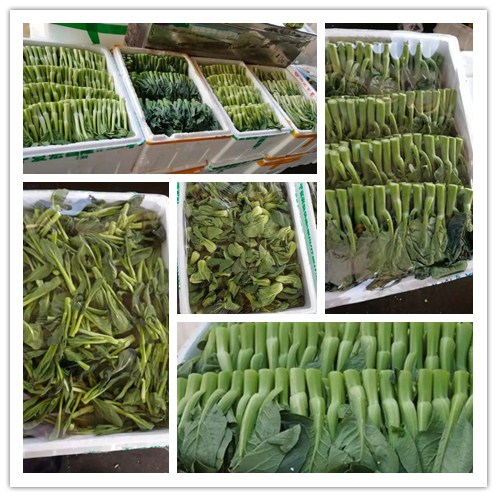 万利官网-相信品牌力量