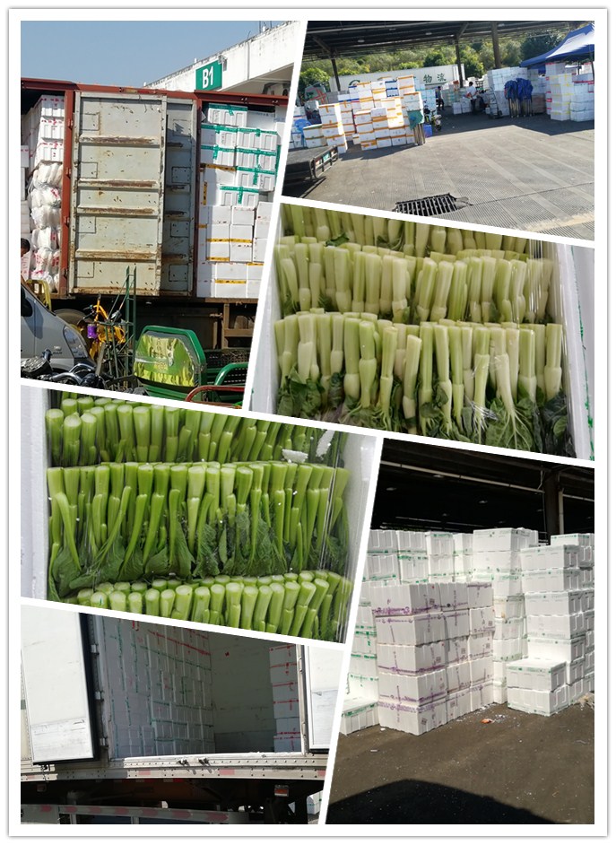 万利官网-相信品牌力量