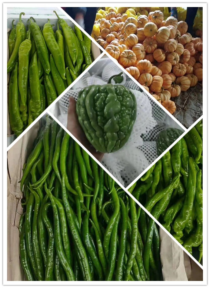 万利官网-相信品牌力量