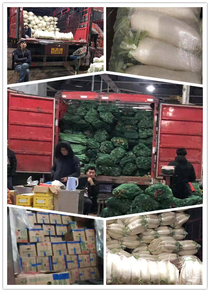 万利官网-相信品牌力量