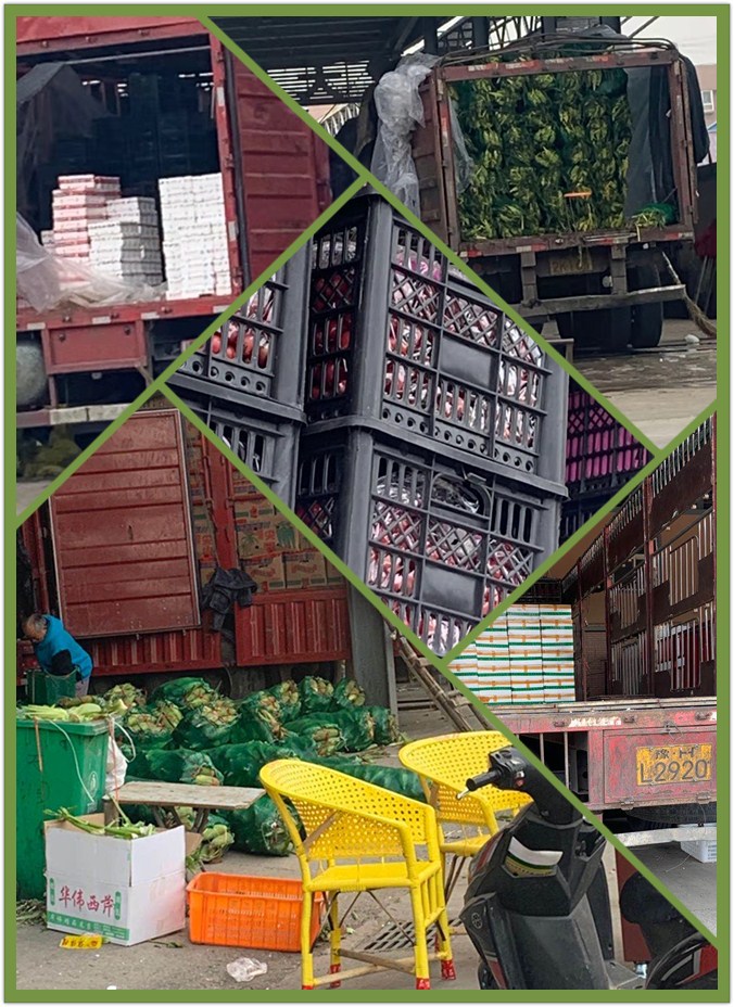 万利官网-相信品牌力量