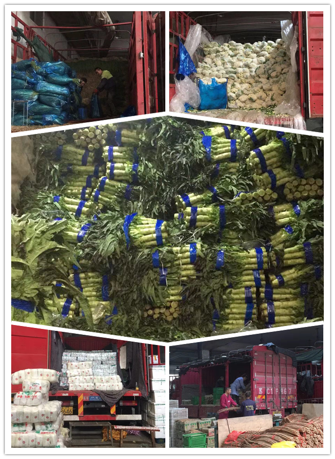 万利官网-相信品牌力量