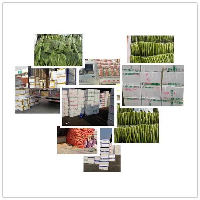 万利官网-相信品牌力量